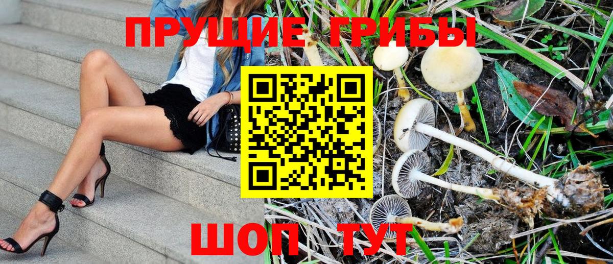 Галлюциногенные грибы MAGIC MUSHROOMS Тюмень